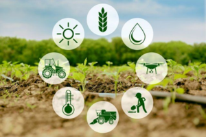 Agri-business